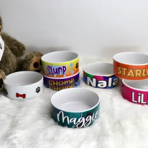 A teddy bear and some bowls with names on them